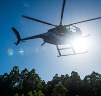 Tall Timbers Adventure Tours - Accommodation in Bendigo