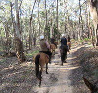 Silver Brumby Trails - Accommodation in Bendigo