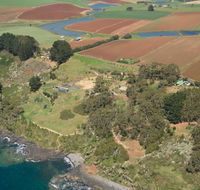 Winged House - The - Accommodation in Bendigo