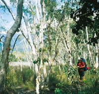 Thorsborne Trail Hinchinbrook Island National Park - Accommodation in Bendigo