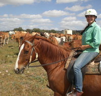 Myella Farm Stay Tours - Accommodation in Bendigo