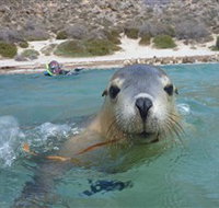 Calypso Star Charters - Accommodation in Bendigo