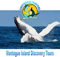 Lighthouse Charters Narooma - Accommodation in Bendigo