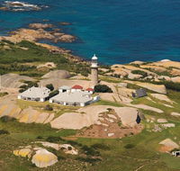 Naturewise Montague Island Nature Escape - Accommodation in Bendigo