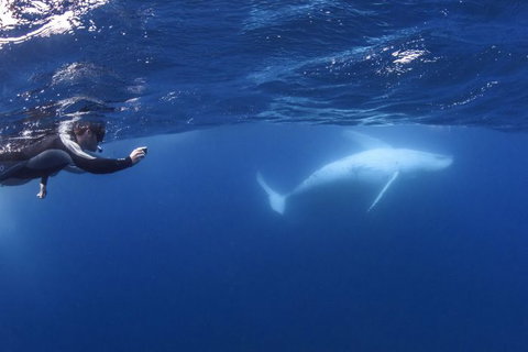 Sunreef Mooloolaba - Accommodation in Bendigo 1