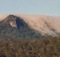 North Queensland Wildscapes Phototours - Accommodation in Bendigo