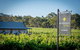 Brockenchack Vineyard - thumb 1