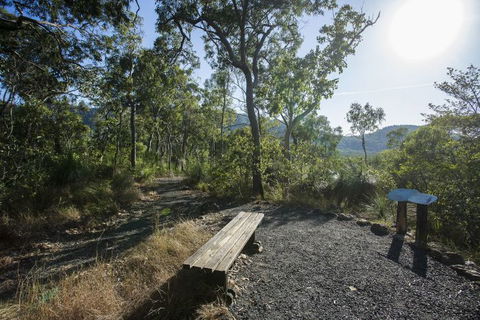 Diversity Boardwalk - Accommodation in Bendigo 2