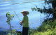 Fraser Coast Amazing Fishing Trails - thumb 12