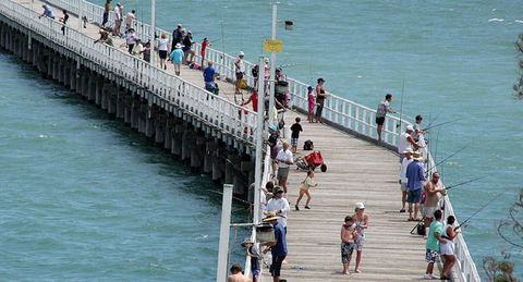 Fraser Coast Amazing Fishing Trails - Accommodation in Bendigo 24