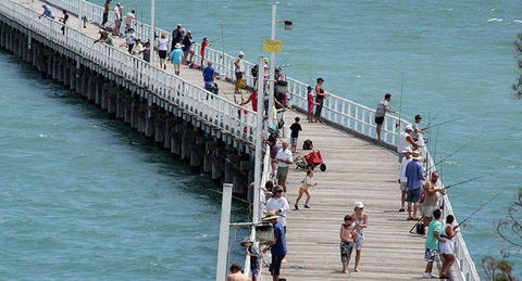 Fraser Coast Amazing Fishing Trails - Accommodation in Bendigo 26