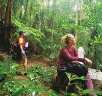 Ships Stern circuit - Accommodation in Bendigo