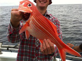 Goin' Off Safaris - Accommodation in Bendigo 1