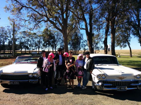 Hunter Valley Cadillacs - Accommodation in Bendigo 1