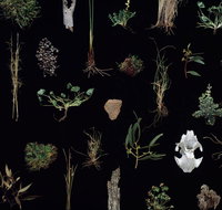 Weswal Gallery - Accommodation in Bendigo