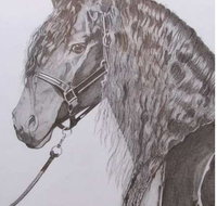 Great Lakes Art Society - Accommodation in Bendigo