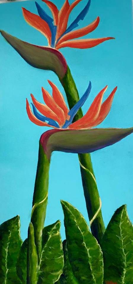 Toukley District Arts Society & Information Centre - Accommodation in Bendigo 1