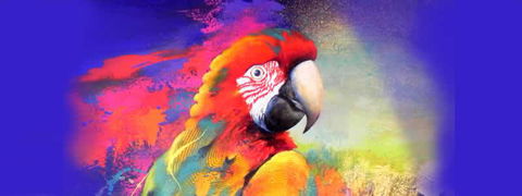 Tina Cooper Gallery - Accommodation in Bendigo 2