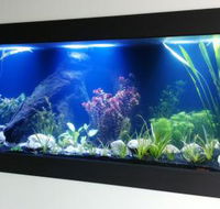Aquariums in Cairns - Accommodation in Bendigo