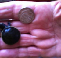 Hurleys Aquariums - Accommodation in Bendigo