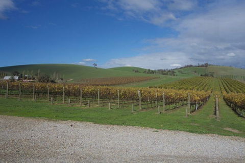 Wine Compass - Accommodation in Bendigo 1
