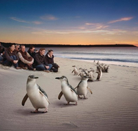 Down Under Thrills - Accommodation in Bendigo