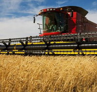 Quirindi Grain and produce - Accommodation in Bendigo