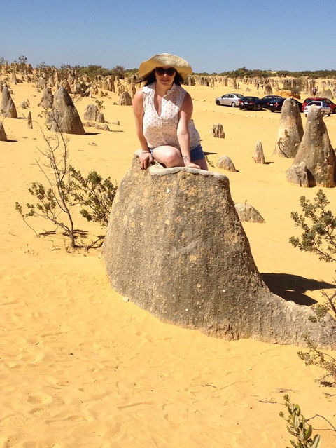 Pinnacles Desert, Koalas And Sandboarding 4WD Day Tour From Perth - Accommodation in Bendigo 18
