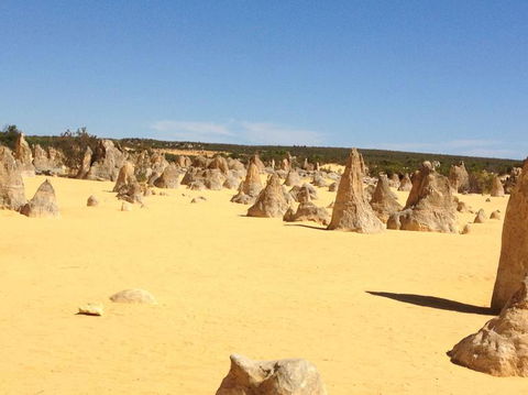Pinnacles Desert, Koalas And Sandboarding 4WD Day Tour From Perth - Accommodation in Bendigo 15