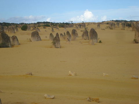 Pinnacles Desert, Koalas And Sandboarding 4WD Day Tour From Perth - Accommodation in Bendigo 23