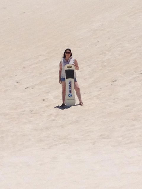 Pinnacles Desert, Koalas And Sandboarding 4WD Day Tour From Perth - Accommodation in Bendigo 21