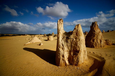 Pinnacles Desert, Koalas And Sandboarding 4WD Day Tour From Perth - Accommodation in Bendigo 6