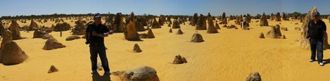 Pinnacles Desert, Koalas And Sandboarding 4WD Day Tour From Perth - Accommodation in Bendigo 11
