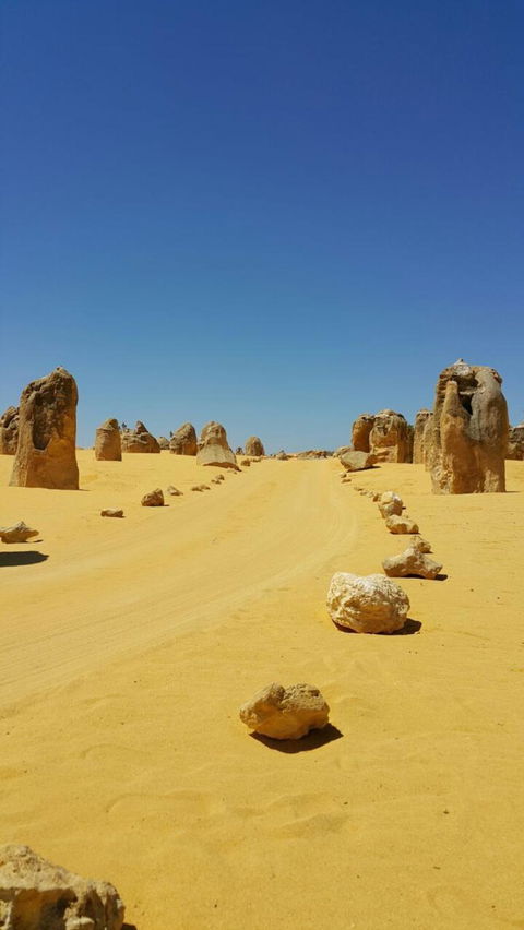 Pinnacles Desert, Koalas And Sandboarding 4WD Day Tour From Perth - Accommodation in Bendigo 3