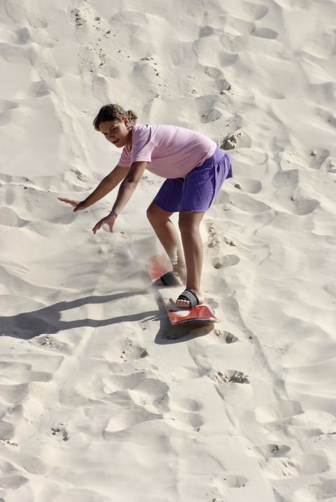 Pinnacles Desert, Koalas And Sandboarding 4WD Day Tour From Perth - Accommodation in Bendigo 24