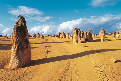 Pinnacles Desert, Koalas And Sandboarding 4WD Day Tour From Perth - Accommodation in Bendigo 0