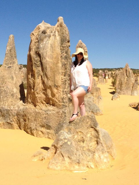 Pinnacles Desert, Koalas And Sandboarding 4WD Day Tour From Perth - Accommodation in Bendigo 16