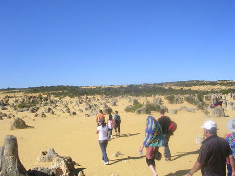 Pinnacles Desert, Koalas And Sandboarding 4WD Day Tour From Perth - Accommodation in Bendigo 25