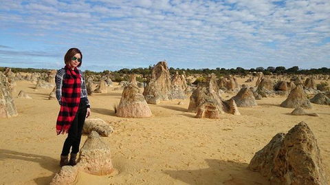 Pinnacles Desert, Koalas And Sandboarding 4WD Day Tour From Perth - Accommodation in Bendigo 13