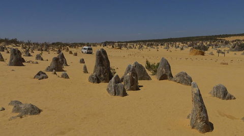 Pinnacles Desert, Koalas And Sandboarding 4WD Day Tour From Perth - Accommodation in Bendigo 4