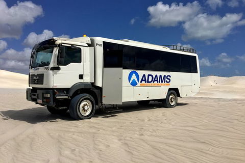 Pinnacles Desert, Koalas And Sandboarding 4WD Day Tour From Perth - Accommodation in Bendigo 28