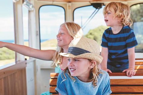 Rottnest Island Full-Day Trip With Guided Island Tour From Perth - Accommodation in Bendigo 1