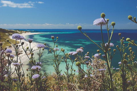 Rottnest Island Full-Day Trip With Guided Island Tour From Perth - Accommodation in Bendigo 6