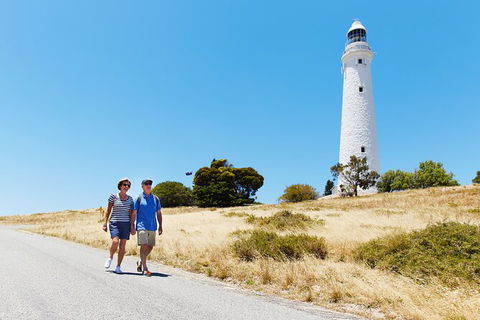 Rottnest Island Full-Day Trip With Guided Island Tour From Perth - Accommodation in Bendigo 4