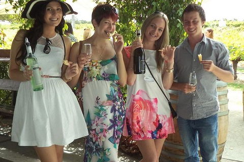 1/2 Day Swan Valley Wine Cheese & Chocolate Tour Inc Afternoon Cruise To Perth - Accommodation in Bendigo 2