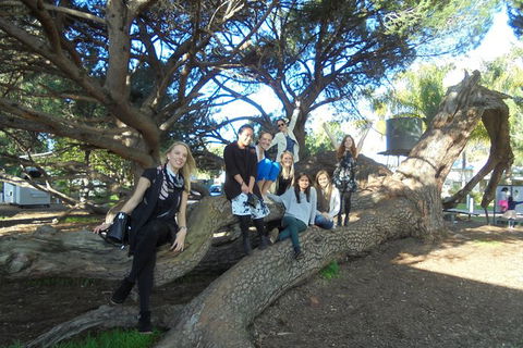 1/2 Day Swan Valley Wine Cheese & Chocolate Tour Inc Afternoon Cruise To Perth - Accommodation in Bendigo 10