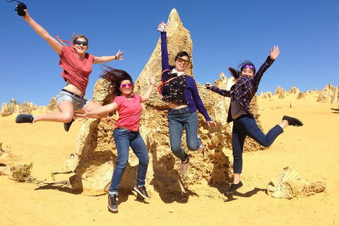 Pinnacles And Swan Valley Day Trip From Perth Including Caversham Wildlife Park, Vineyard Lunch, Pinnacles And Sandboarding - Accommodation in Bendigo 0