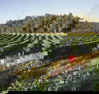 Margaret River Caves Wine and Cape Leeuwin Lighthouse Tour from Perth - Accommodation in Bendigo