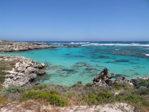 Rottnest Island Tour From Perth Or Fremantle Including Adventure Speed Boat Ride - Accommodation in Bendigo 3