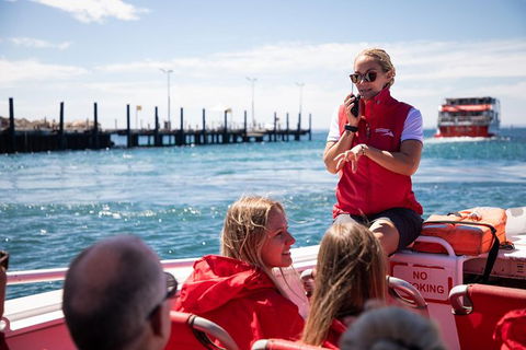 Rottnest Island Tour From Perth Or Fremantle Including Adventure Speed Boat Ride - Accommodation in Bendigo 0